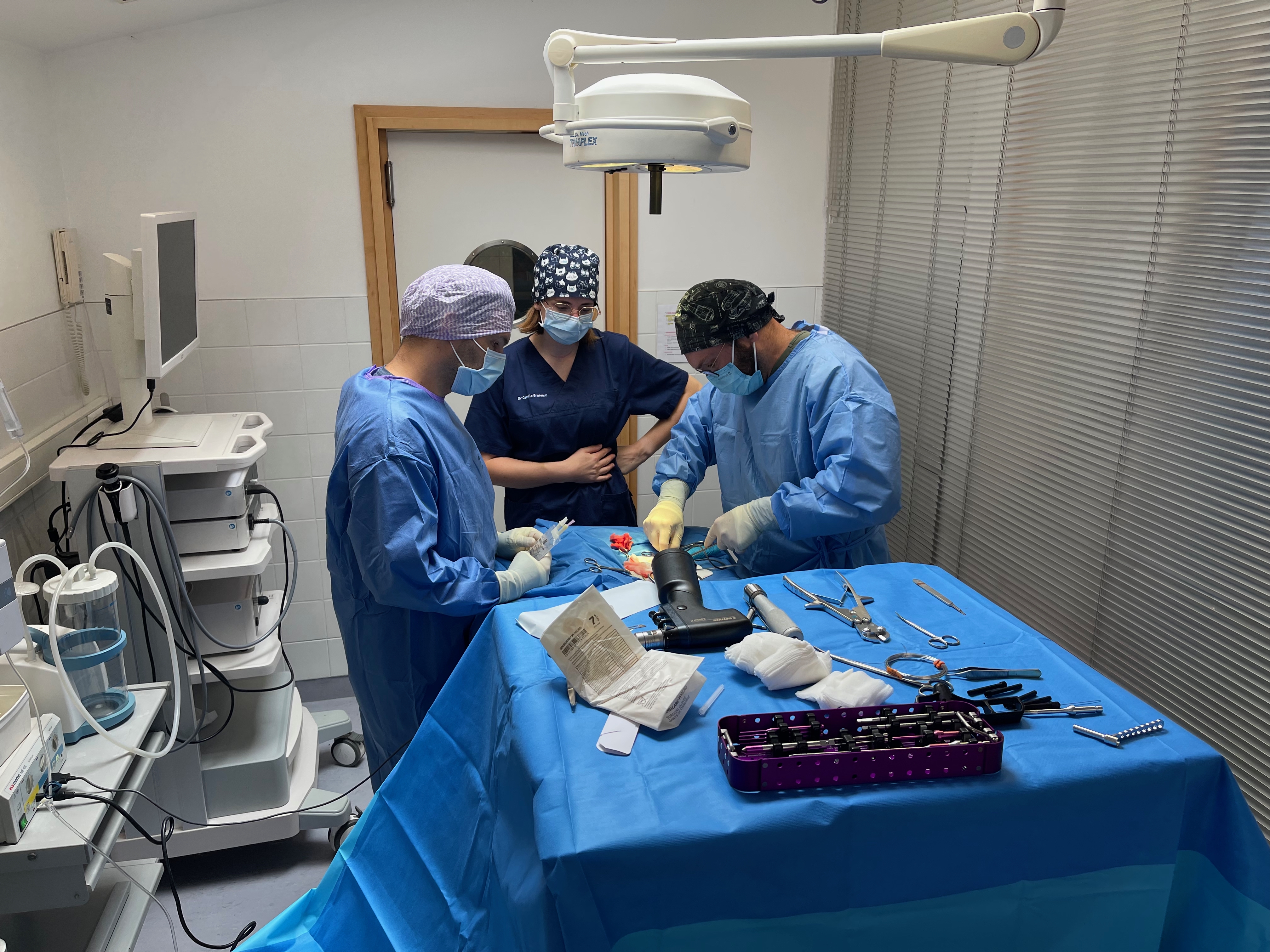 Chirurgie vétérinaire