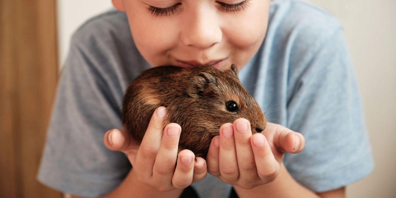 Choisir son petit mammifère