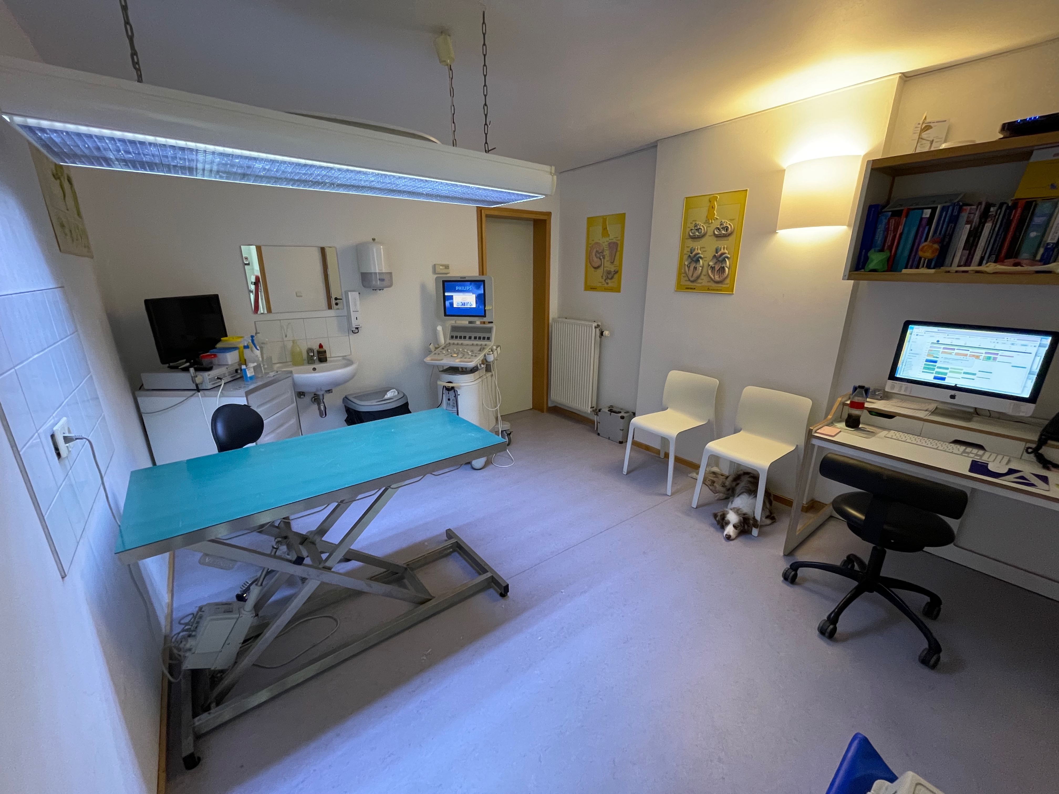 Salle de consultation vétérinaire