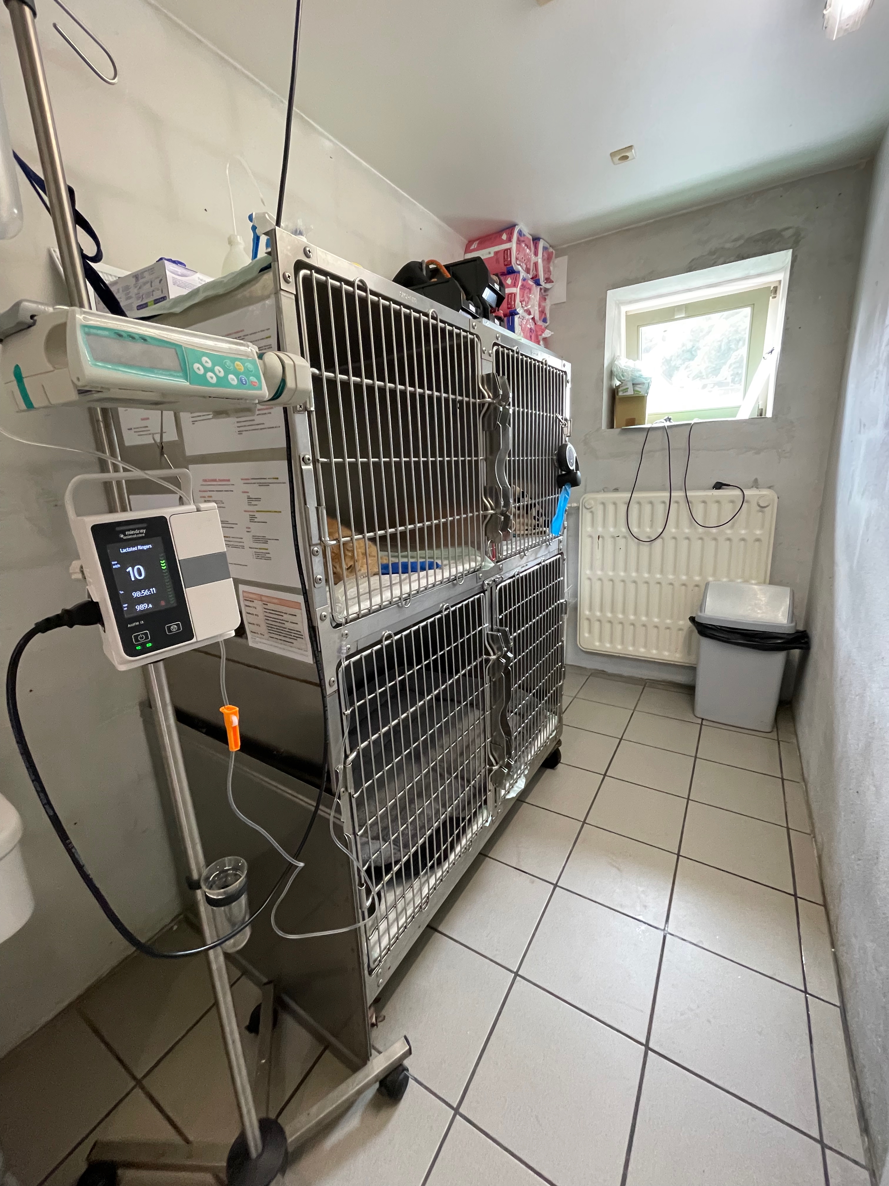 Hospitalisation vétérinaire