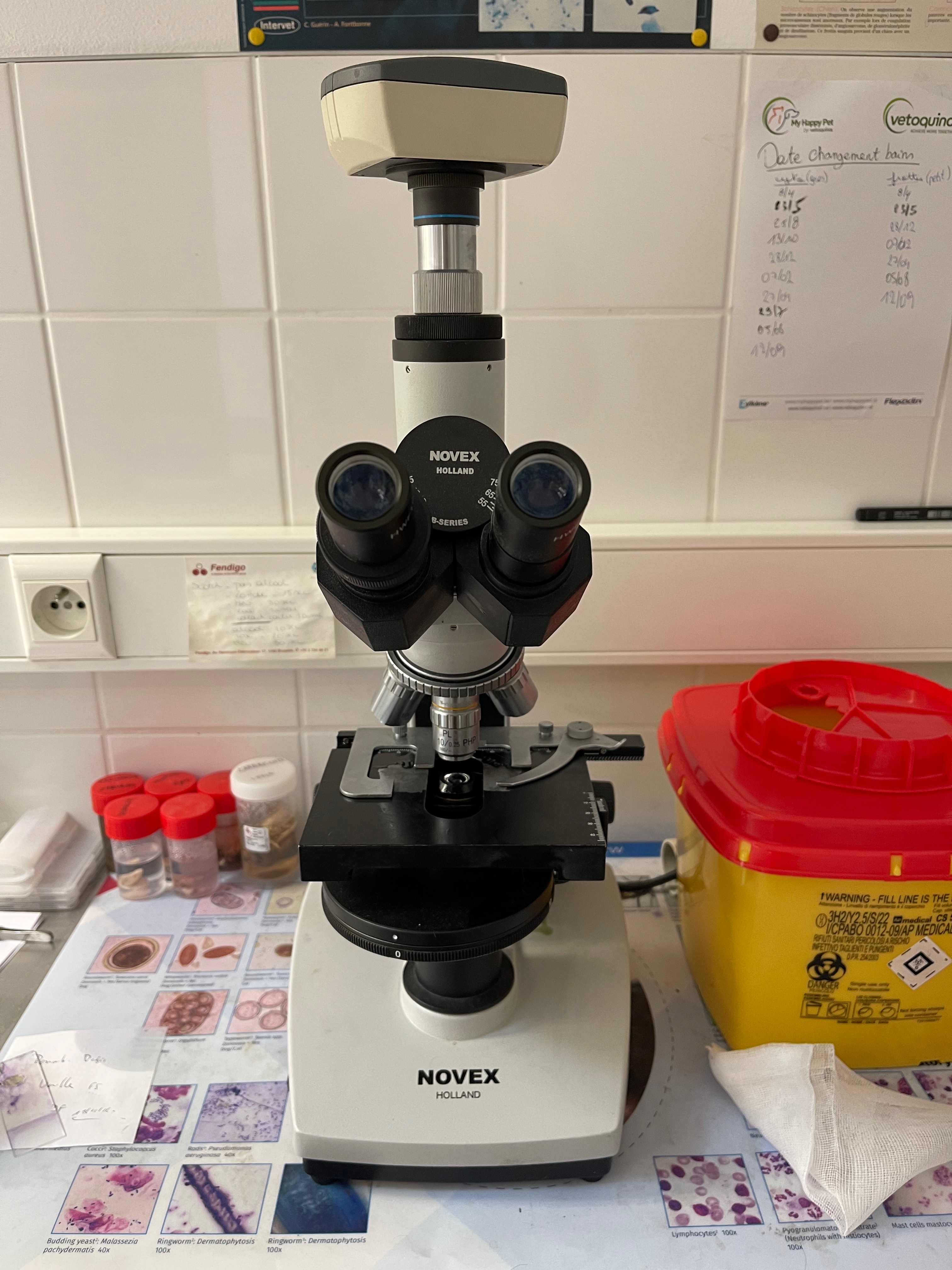 Analyses vétérinaires
